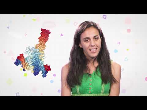 Paula Llabata: “Mega, Max i jo”