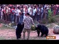 Bear visit Chandi Mata Mandir in Chhattisgarh during aarti, return after having prasad