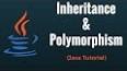 Polymorphism ile ilgili video
