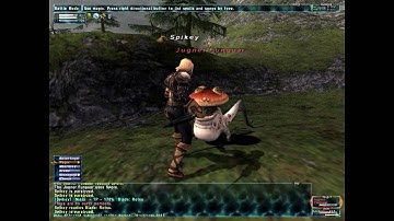 FFXI HD Test