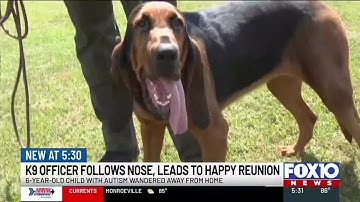 Baldwin County K-9 finds missing child with autism safe