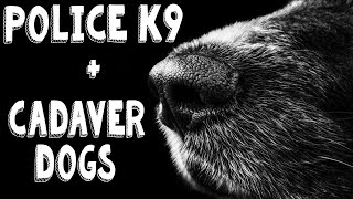 Police K9: Cadaver Detection Dogs