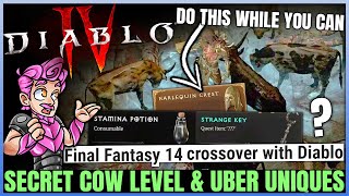 Diablo 4 - THIS IS HUGE: Secret Cow Level FOUND, Easy Uber Uniques, Item Duplication, Nerfs & More