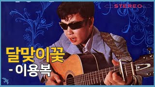 이용복 - 달맞이꽃 (1972)