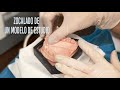 Crear correctamente el zocalado de un modelo de estudio en escayola (bucodental).