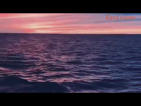 ادم فى حب يأذى