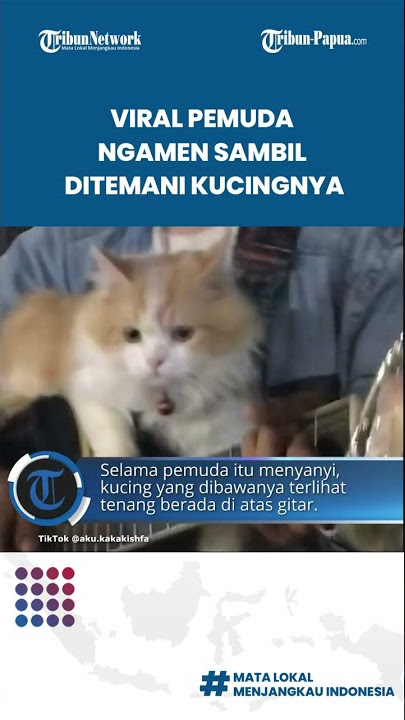 Viral Video Seorang Pemuda Ngamen Ditemani Kucingnya, Perekam Video Mengaku Salah Fokus dan Salut