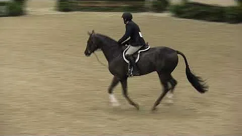 Video of ABUDABI ridden by DAVID Q. BEISEL from Sh...