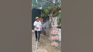 Vui vẻ chăm hoa lan tưới nước vườn cây quất ghép cần thăng bonsai sanh tùng là lão nông yêu đời