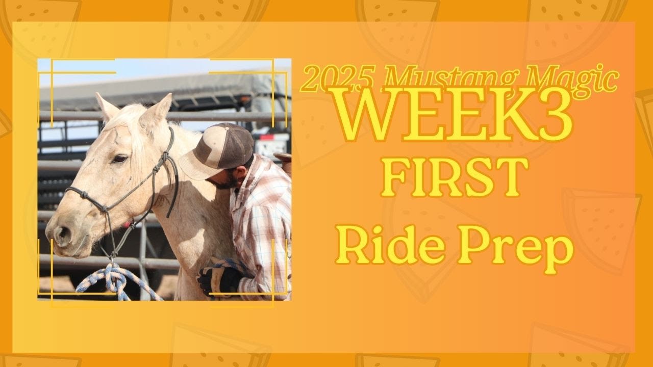 Week 3 Magic 2025 Mustang Magic - Week 3 with Sandia - YouTube