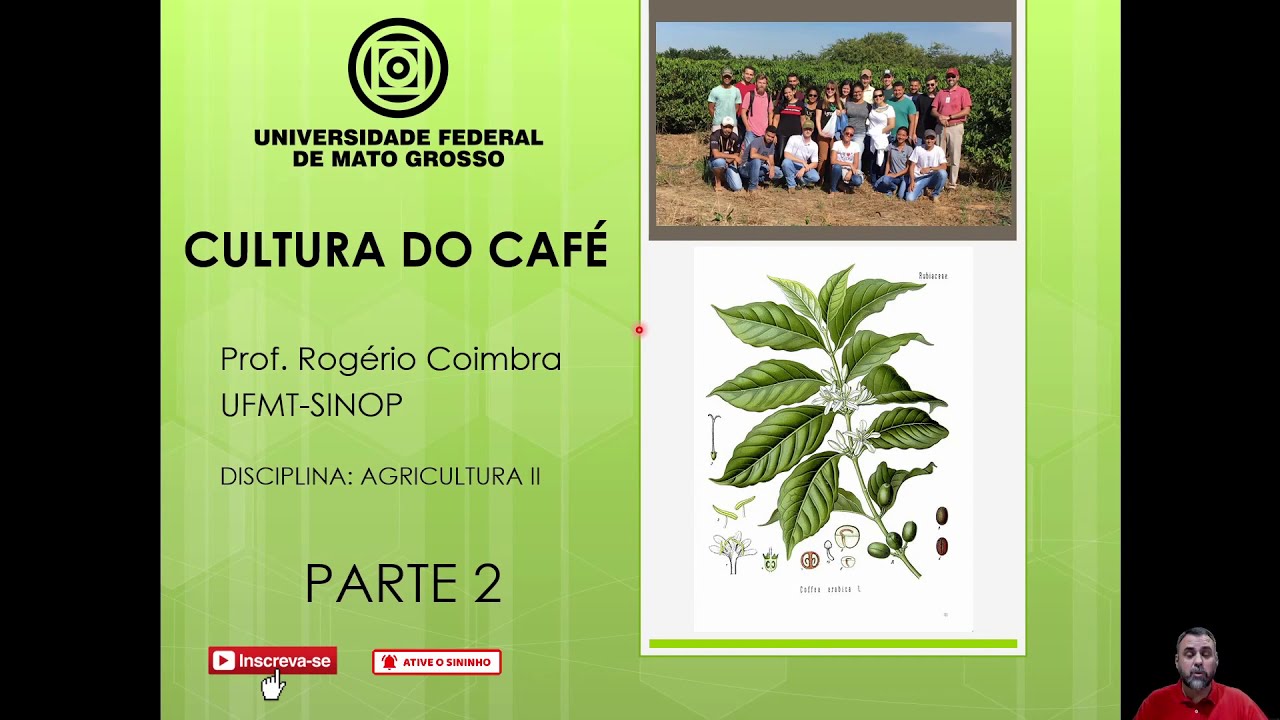 AULA 2 UNIDADE III   CULTURA DO CAFÉ   FISIOLOGIA E FORMAÇÃO DE MUDAS - PROF. ROGÉRIO COIMBRA