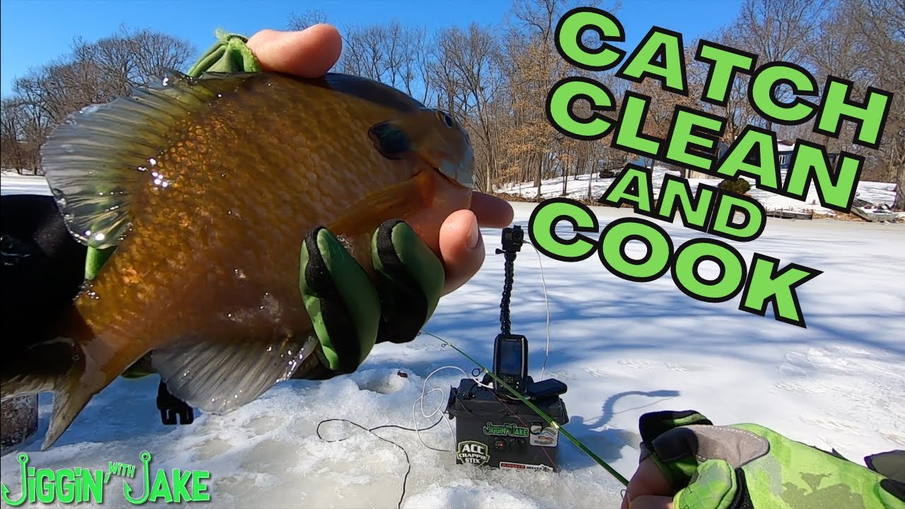 Ice Fishing for BIG BLUEGILLS (CATCH CLEAN COOK) YouTube