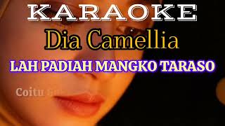 Download Lagu KARAOKE - Dia Camellia - \ MP3