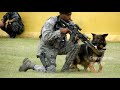 横田基地友好祭、軍用犬デモ、米軍兵士 M4とデザートイーグル完全武装