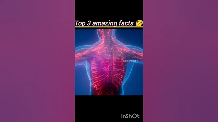 3 Amazing Facts About the Human Body You Never Knew 😱 | Mind-Blowing Facts #Shorts"