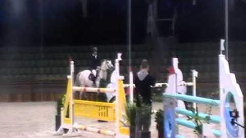 Warner - 10j. ruin  Indorado x Kojak - Davy Gielis - DRStables