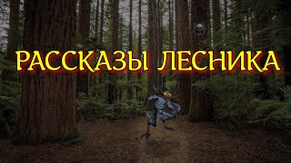 РАССКАЗЫ ЛЕСНИКА  Реальная история