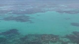 7DE36A2C F3E6 4B1E B621 895B4AF3A9D4