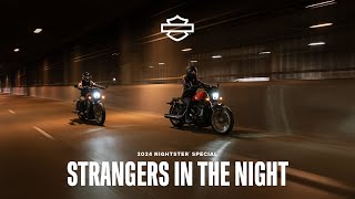 2024 Harley-Davidson Nightster Special Motorcycle | From Dusk Till Dawn in Chicago