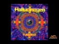 Hallucinogen  solstice