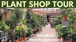 House Plant Shopping at a new place! Intratuin Heerhugowaard | Plant with Roos screenshot 5