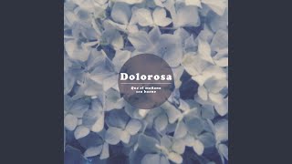 Video thumbnail of "Dolorosa - La Vida Es Triangular"