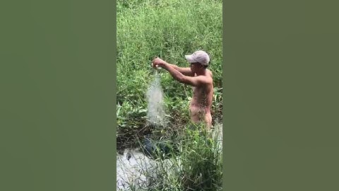 Giăng lưới bắt cá sặc đồng và cái kết