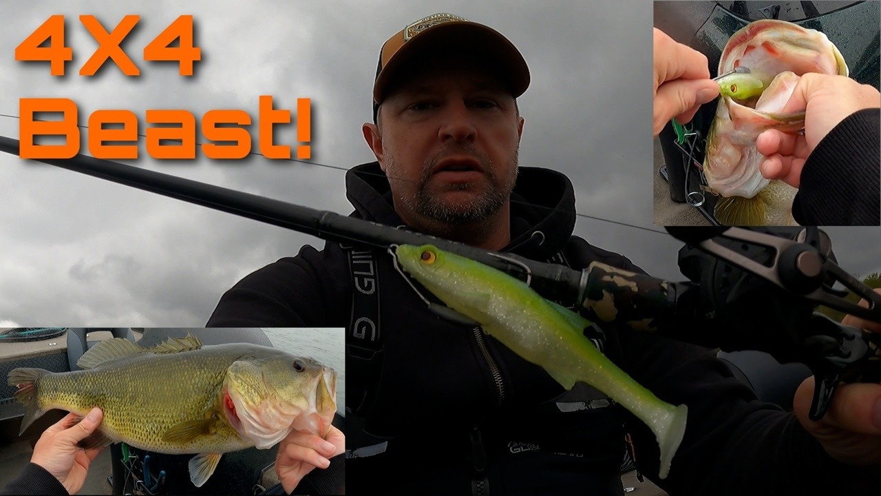 Smashing Bass On A Big Swimbait In Heavy Cover