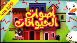 أصوات الحيوانات (توزيع جديد) - طيور بيبي Toyor Baby