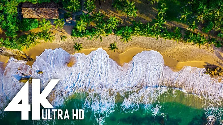 4K Tropical Beach - Gentle Ocean Wave Sounds - Peaceful Wild Island - Relaxing Nature Video