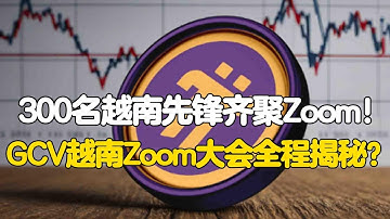 Pi Network：300名越南先锋齐聚Zoom！GCV越南Zoom大会全程揭秘？