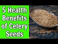 5 Health Benefits of Celery Seeds