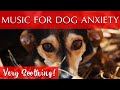 Music to Calm Dogs With Anxiety [Very Soothing!]