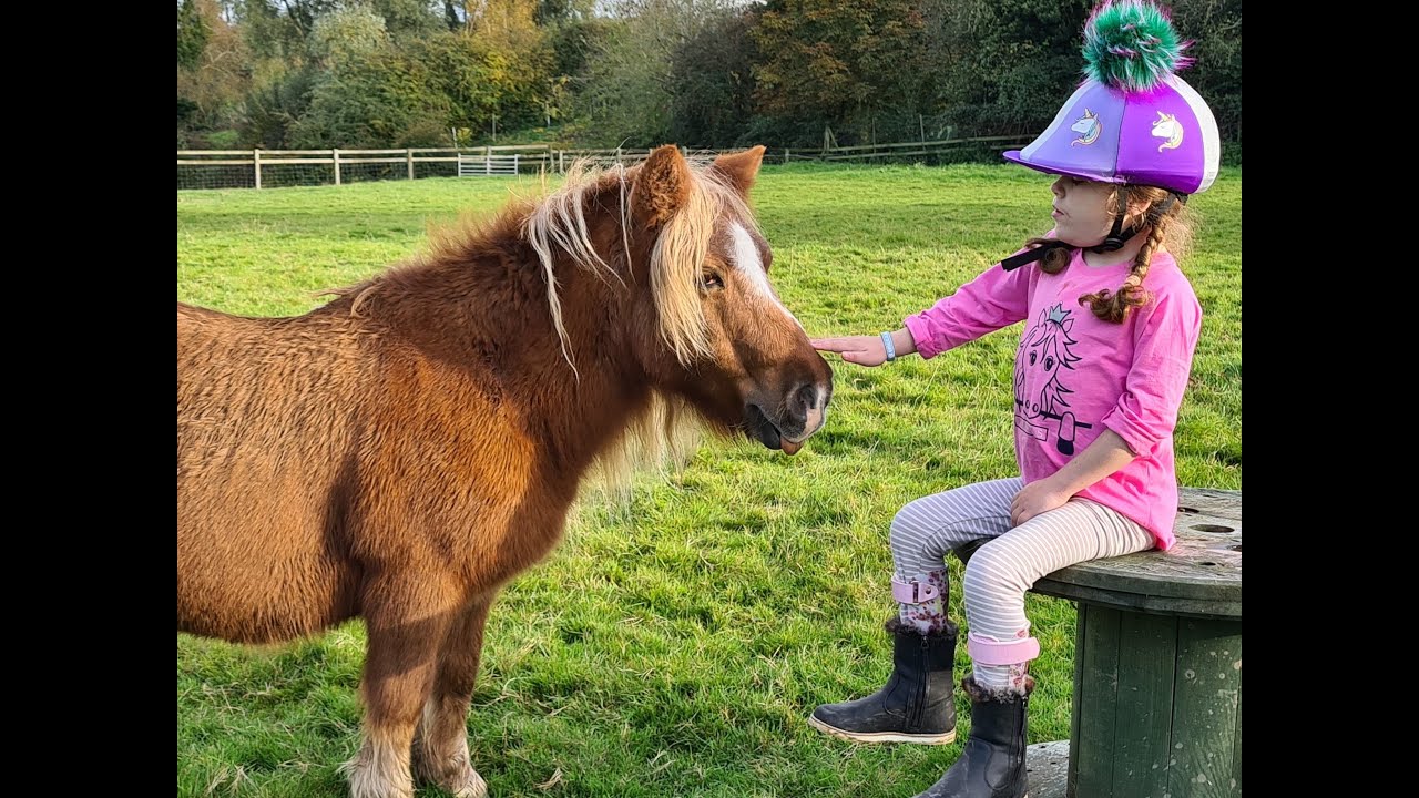 Disability RDA Horse Riding Journey aged 3 to 8yrs YouTube