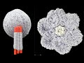 Amazing TRICK to make woollen flower with lollipop stick | DIY woollen flower