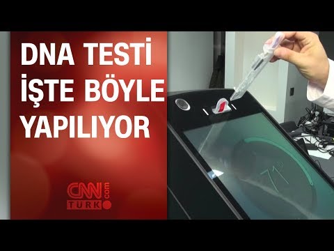 DNA testi nasıl yapılır? Uzmanı uygulamalı anlattı