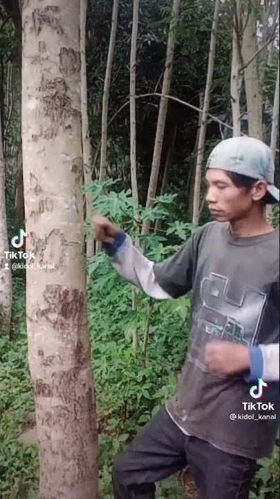 mentahan orang mukul pohon