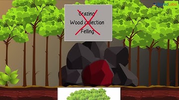 Class-10-Science-Ch-15-Management of Natural Resources-Topic- ManagementofNaturalResourcesLocalLevel