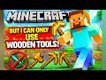 Minecraft But I Can ONLY Use Wooden Tools… (LIVE Challenge 😱)