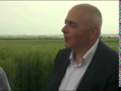 საერთასორისო საველე სემინარი