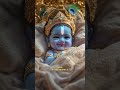 Harekrishna 🌸🥀🌸#balkrishna #love #littlekrishna #cute #cutebaby #radheradhe #vrindavan #krishna