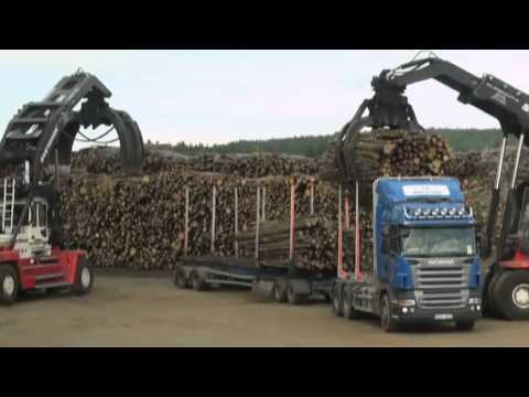 Video: Cómo Se Transporta La Madera