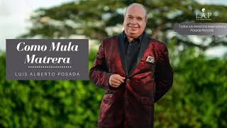 @LuisAlbertoPosadaOficial - Como Mula Matrera (Audio Oficial)