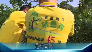 村民大會第770集預告重現鹿陶洋！(臺南楠西) 