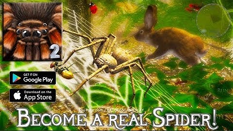 Ultimate Spider Simulator 2 - Android / iOS Gameplay