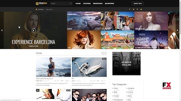 True Mag - WordPress Theme for Video and Magazine      Tamerlane Bert