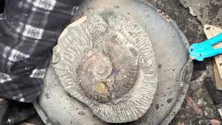 8 Hour GIANT Ammonite Prep! Extreme Time‑Lapse Fossil Cleaning