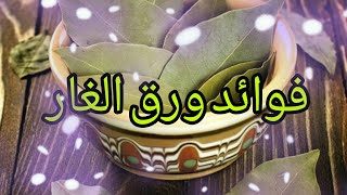 فوائد ورق الغار فوائدالرند التي لاتحصئ