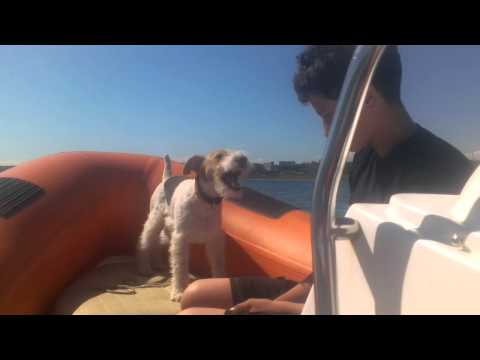 მაქსის პირველი კატერი..