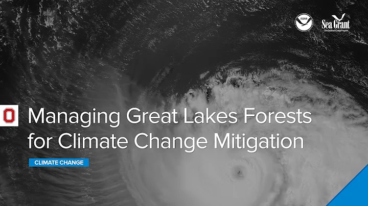 Climate Webinar: Managing Great Lakes Forests for Climate Change Mitigation